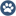 ezyVet icon